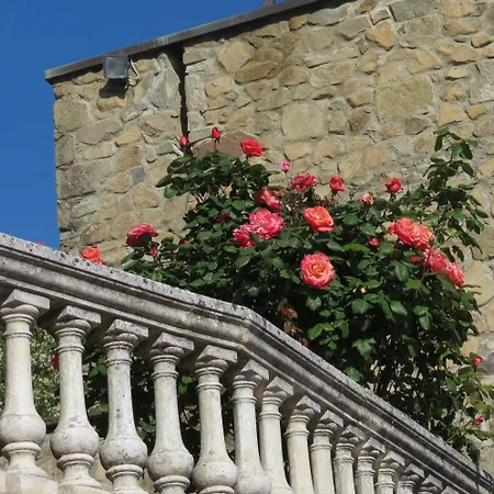 Apartahotel Il Castagno
